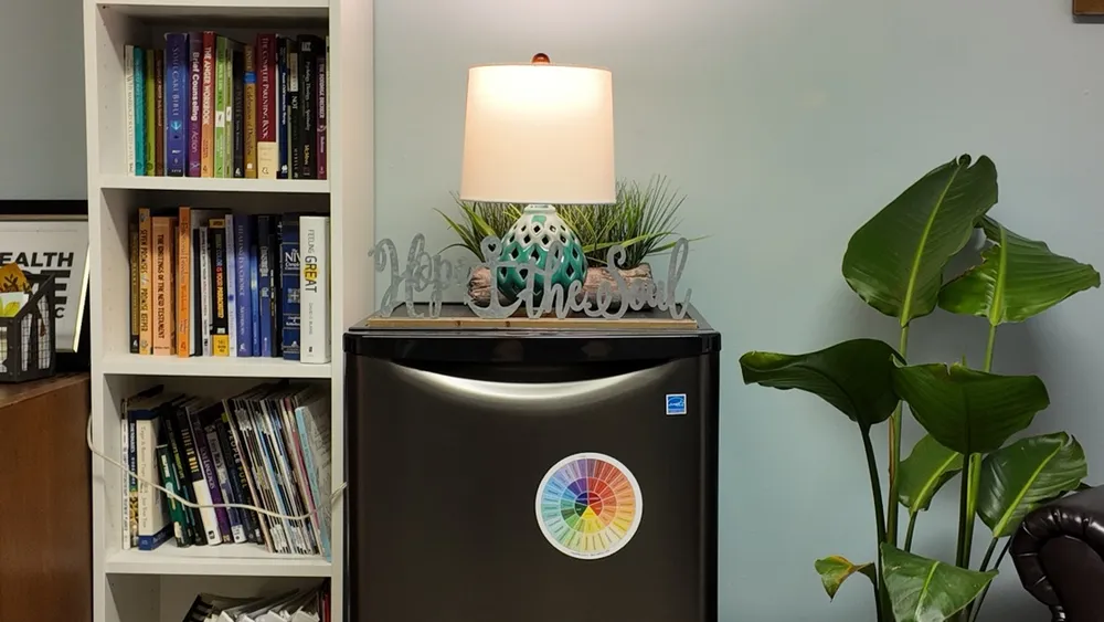 Bookshelf with counseling texts, a small lamp, and a plant in the office